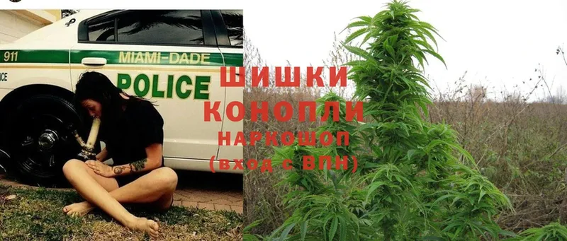 сколько стоит  Челябинск  Бошки Шишки OG Kush 